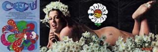 Cass Elliot feet photo 9