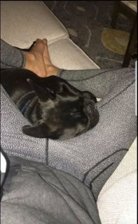 Cassadee Pope feet photo thumbnail