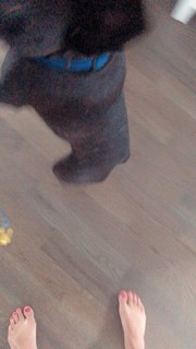 Cassadee Pope feet photo thumbnail