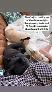 Cassadee Pope feet photo thumbnail