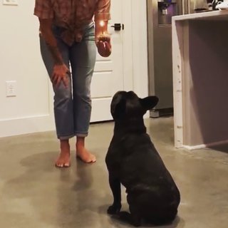 Cassadee Pope feet photo thumbnail