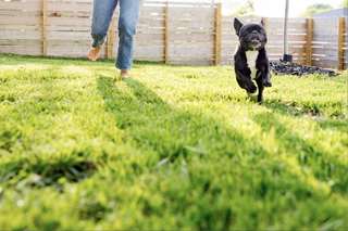 Cassadee Pope feet photo thumbnail