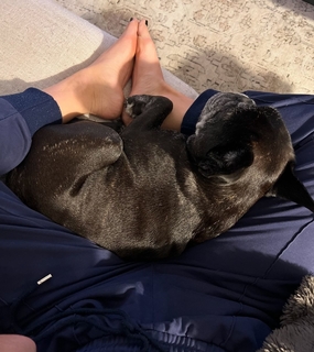 Cassadee Pope feet photo thumbnail