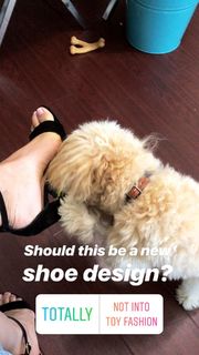 Cassey Ho feet photo 9