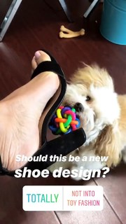 Cassey Ho feet photo 8