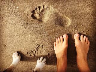 Cassidy Freeman feet photo thumbnail
