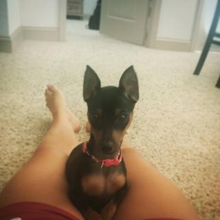 Cassie Arneill feet photo thumbnail