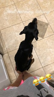 Cassie Arneill feet photo thumbnail