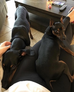 Cassie Arneill feet photo thumbnail