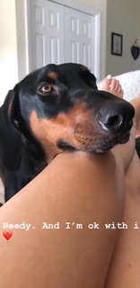 Cassie Arneill feet photo thumbnail