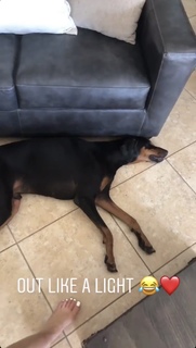 Cassie Arneill feet photo thumbnail