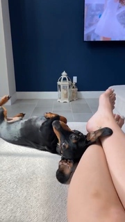 Cassie Arneill feet photo thumbnail