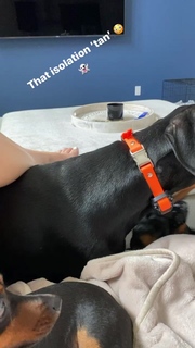 Cassie Arneill feet photo thumbnail