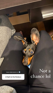 Cassie Arneill feet photo thumbnail