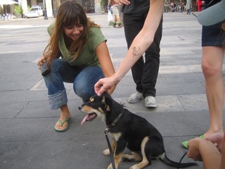 Cat Power feet photo 1