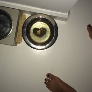 Cat Power feet photo 9