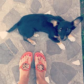 Catalina Grama feet photo 9