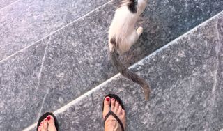 Catalina Grama feet photo 5