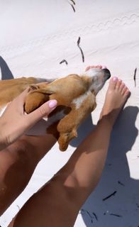 Catarina Maia feet photo 6
