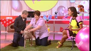 Caterina Balivo feet photo thumbnail