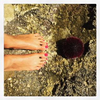 Caterina Balivo feet photo thumbnail