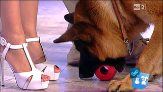 Caterina Balivo feet photo thumbnail