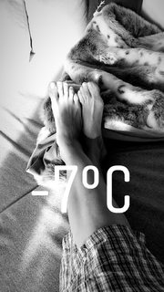 Caterina Balivo feet photo thumbnail