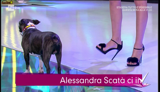 Caterina Balivo feet photo thumbnail