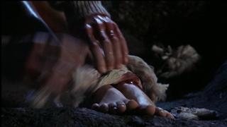 Catherine Oxenberg feet photo 14