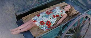 Catherine Spaak feet photo 9