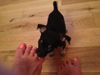 Catherine Tyldesley feet photo thumbnail