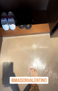 Cecilia Cheung feet photo 8