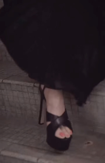 Cecilia Cheung feet photo 5