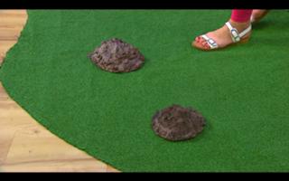 Cerrie Burnell feet photo 11