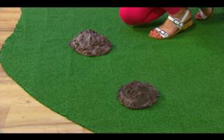 Cerrie Burnell feet photo 10