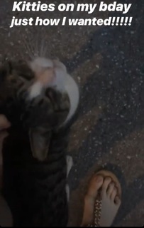 Chandler Lovelle feet photo 6