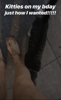 Chandler Lovelle feet photo 4