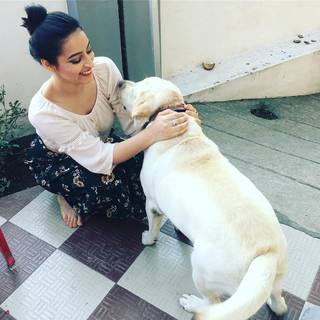 Chandni Sharma feet photo 16