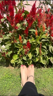 Chandni Sharma feet photo 12