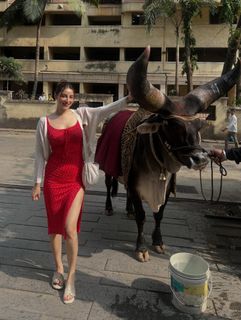 Chandni Sharma feet photo 7