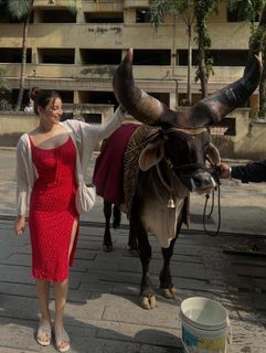 Chandni Sharma feet photo 6