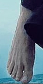Chantal Baudaux feet photo 15