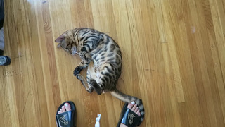 Chantel Jeffries feet photo thumbnail