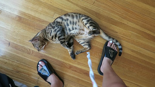 Chantel Jeffries feet photo thumbnail