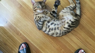 Chantel Jeffries feet photo thumbnail