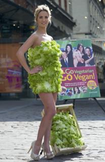 Chantelle Houghton feet photo 3