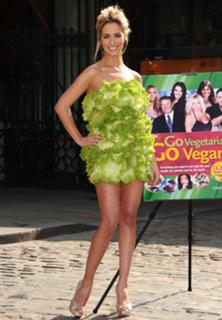 Chantelle Houghton feet photo 11
