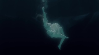 Chappell Roan feet photo thumbnail