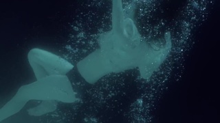 Chappell Roan feet photo thumbnail