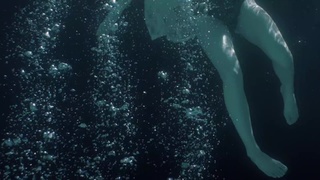 Chappell Roan feet photo thumbnail